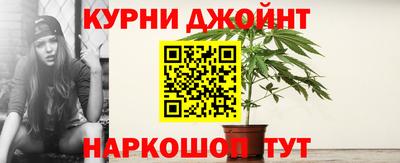 шишки Краснознаменск
