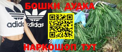 шишки Краснознаменск