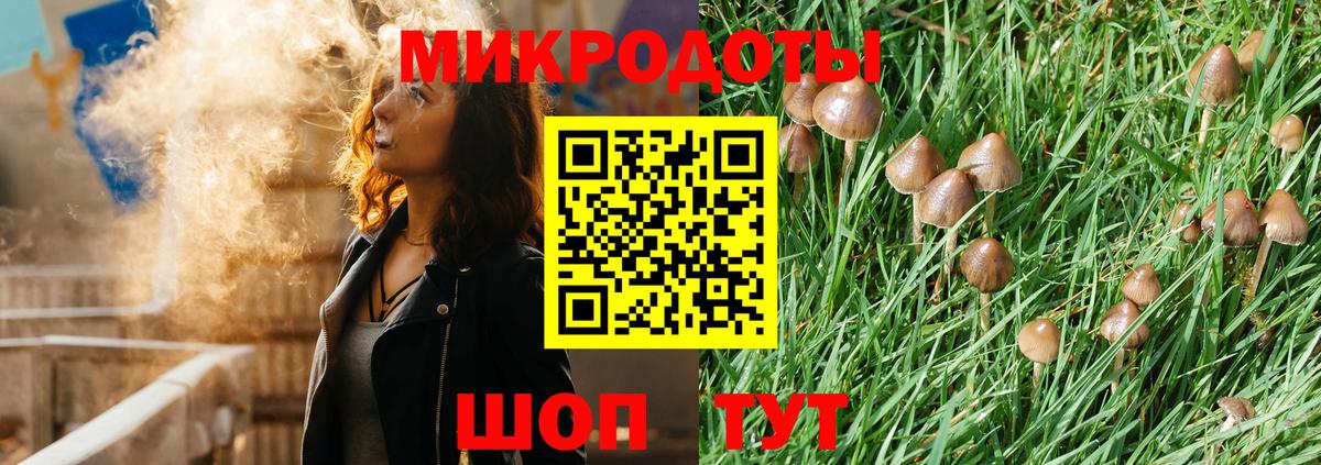 Псилоцибиновые грибы GOLDEN TEACHER  Вход с VPN  Шатура  Галлюциногенные грибы мицелий 